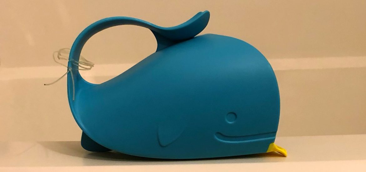 Skip-Hop Whale